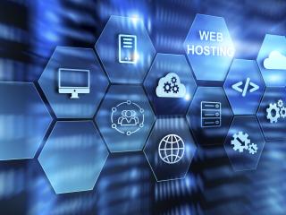 Software & IT Services