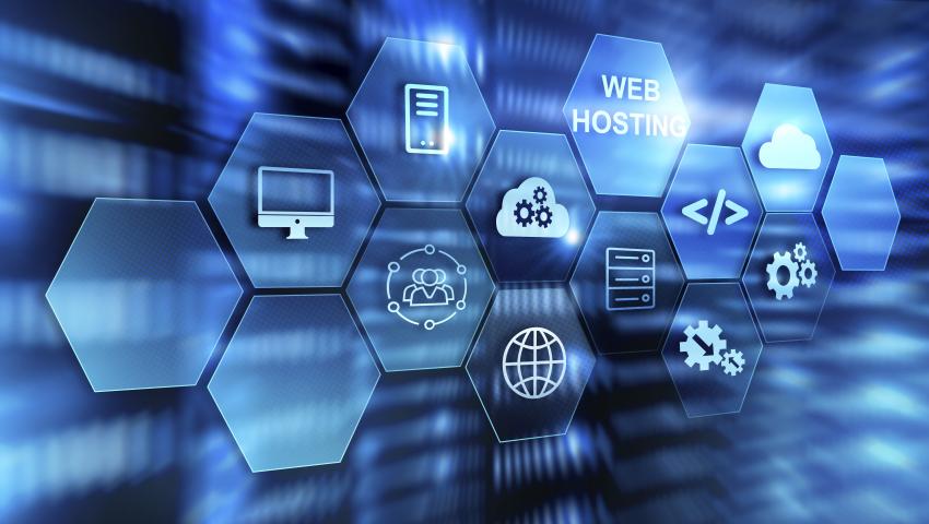 Software & IT Services